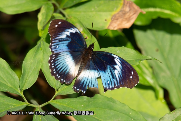 190204_gh_bunso_070.jpg