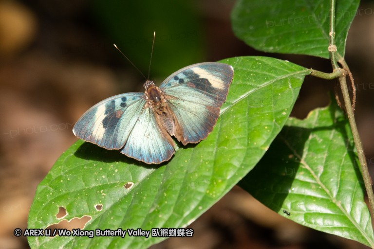 190204_gh_bunso_153.jpg