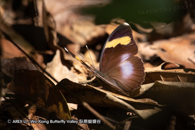190204_gh_bunso_214.jpg