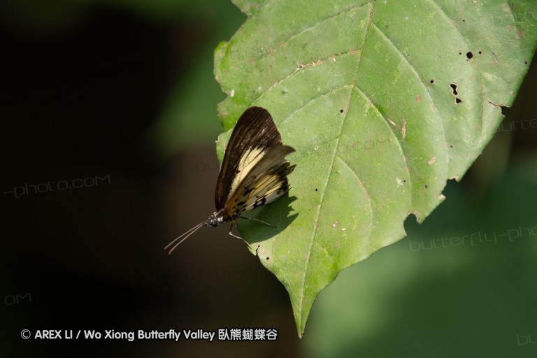 190204_gh_bunso_242.jpg