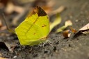 Filename=110501_tpk_02.jpg
Filesize=561KiB
Dimensions=1920x1278
Date added=Jan 14, 2019 110501_tpk_02.jpg