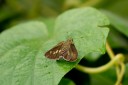 111003_subic_011.jpg