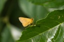111003_subic_040.jpg