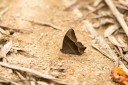 130316_nankunshan_34.jpg