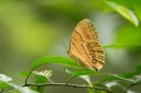 Filename=130609_rarashan_020.jpg
Filesize=666KiB
Dimensions=1920x1282
Date added=Jul 23, 2017 130609_rarashan_020.jpg