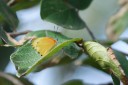 140427_krantzkloof_033.jpg