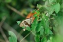 140427_krantzkloof_056.jpg