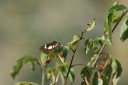 140427_krantzkloof_094.jpg