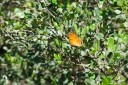 140428_marchmont_054.jpg