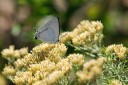 140428_marchmont_073.jpg