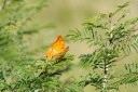 140428_marchmont_090.jpg