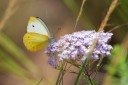 140428_marchmont_111.jpg