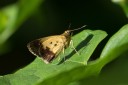 140726_mos_01.jpg