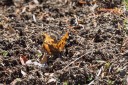 150322_yamanashi_12.jpg