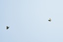 150329_doilang_007.jpg
