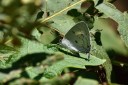 150330_phahompok_067.jpg