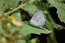 150330_phahompok_070.jpg