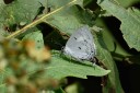 150330_phahompok_071.jpg