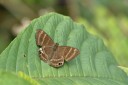 Filename=150330_phahompok_096.jpg
Filesize=204KiB
Dimensions=1920x1280
Date added=Apr 09, 2015 150330_phahompok_096.jpg
