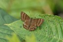 Filename=150330_phahompok_098.jpg
Filesize=234KiB
Dimensions=1920x1280
Date added=Apr 09, 2015 150330_phahompok_098.jpg
