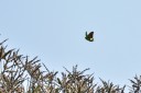 150331_doilang_014.jpg