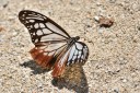 150401_phahompok_025.jpg