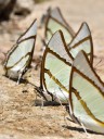 150401_phahompok_027.jpg
