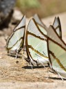 150401_phahompok_028.jpg