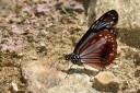 150401_phahompok_039.jpg
