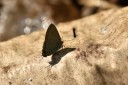 150402_chiangdao_012.jpg