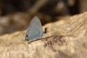 150402_chiangdao_013.jpg