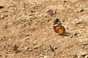 150402_chiangdao_021.jpg