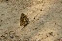 150402_chiangdao_027.jpg