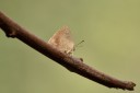 150402_chiangdao_098.jpg