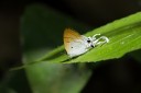 150430_chiangdao_19.jpg