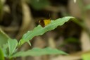 150506_maekampong_37.jpg