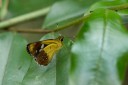150506_maekampong_40.jpg