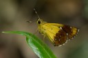 150506_maekampong_41.jpg