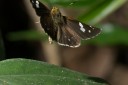 150506_maekampong_45.jpg