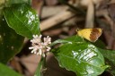 150506_maekampong_48.jpg
