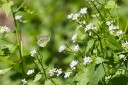 Filename=150518_de_valepp_14.jpg
Filesize=531KiB
Dimensions=1920x1280
Date added=May 19, 2015 150518_de_valepp_14.jpg
