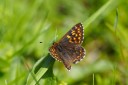 Filename=150518_de_valepp_49.jpg
Filesize=343KiB
Dimensions=1920x1280
Date added=May 19, 2015 150518_de_valepp_49.jpg