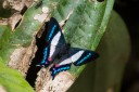 Filename=151102_rionegro_194.jpg
Filesize=551KiB
Dimensions=1920x1280
Date added=Jul 24, 2018 151102_rionegro_194.jpg
