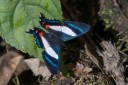 Filename=151102_rionegro_197.jpg
Filesize=530KiB
Dimensions=1920x1280
Date added=Jul 24, 2018 151102_rionegro_197.jpg