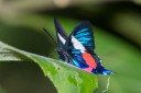 Filename=151102_rionegro_198.jpg
Filesize=287KiB
Dimensions=1920x1280
Date added=Jul 24, 2018 151102_rionegro_198.jpg