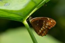151103_diezdeagosto_040.jpg