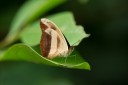 Filename=151103_diezdeagosto_047.jpg
Filesize=325KiB
Dimensions=1920x1280
Date added=Aug 08, 2018 151103_diezdeagosto_047.jpg