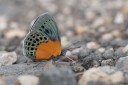 151103_diezdeagosto_130.jpg