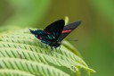 Filename=151105_mera_004.jpg
Filesize=323KiB
Dimensions=1920x1280
Date added=Jul 23, 2018 151105_mera_004.jpg