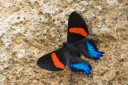 Filename=151105_mera_023.jpg
Filesize=677KiB
Dimensions=1920x1280
Date added=Jul 23, 2018 151105_mera_023.jpg